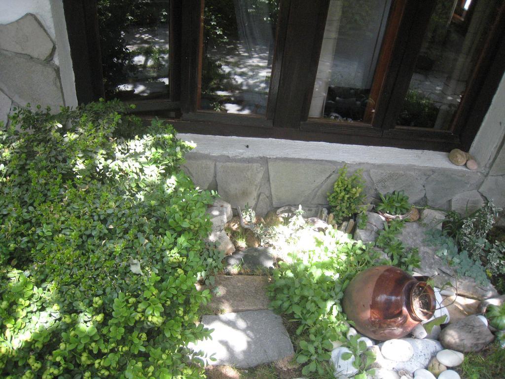 Guest House Voyno Dobrinischte Exterior foto